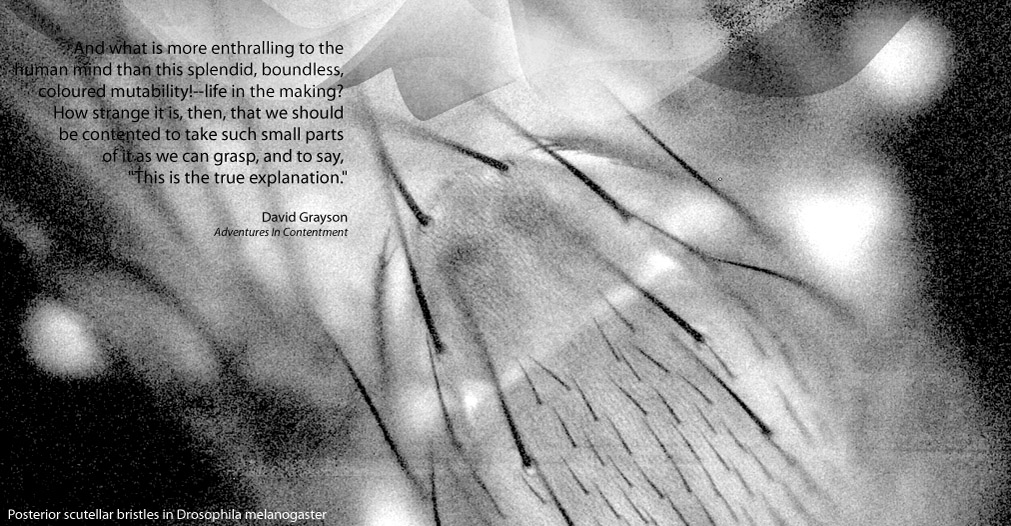 Homepage image with a quote on it
